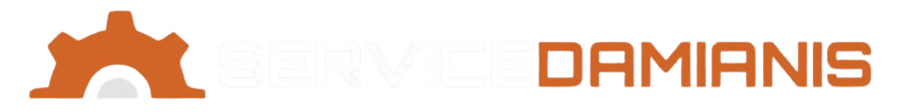 Logo Service Auto Brasov Damianis